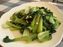 -魚當家