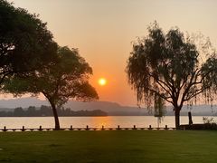 -杭州西湖柳莺里酒店·闻莺厅