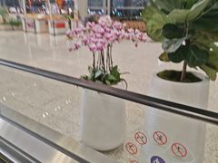 -广州白云国际机场-T2航站楼
