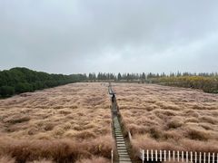 -嘉北郊野公园