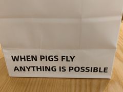 -WHEN PIGS FLY当猪飞