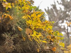 -云峰山自然风景区