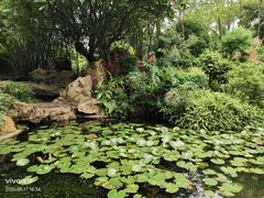-晓港公园
