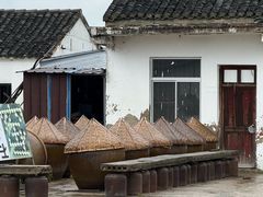 -苏州市吴中区光福窑上花果蜜饯厂