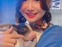 -浣熊柯尔鸭土拨鼠·电玩咖