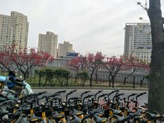 -潘家园(地铁站)