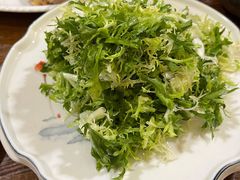 -普集烧鸡(新店)