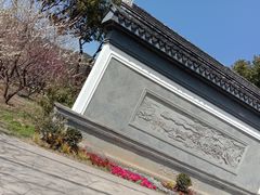 -香雪海