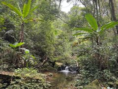 -海南热带雨林国家公园吊罗山景区