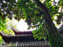 -天一阁博物院