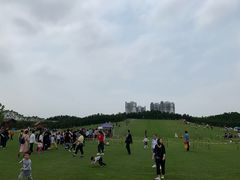 -迪茵湖田家舍生态农场