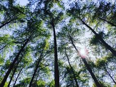 -硗碛藏寨·神木垒景区