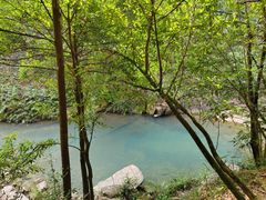 -广州白江湖森林公园