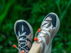 -桤木河湿地公园