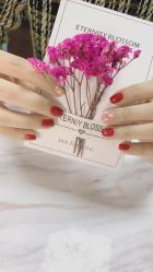 -7嘉nail eyelash·美甲美睫