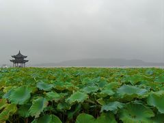 -西湖游船