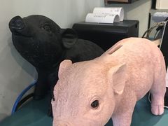 -WHEN PIGS FLY当猪飞