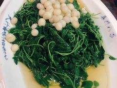 酒香金花菜-吴门人家·苏宴宫廷菜(拙政园店)
