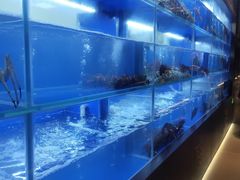 -隆聚时令海鲜(一舟店)