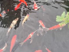 -顺德了能馆(虎门店)