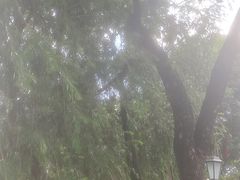 -荔湾湖公园