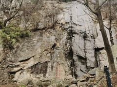 -王顺山国家森林公园