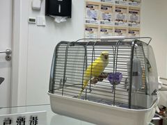 -立德异宠动物医院.兔鸟爬.内窥镜(天河店)