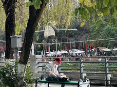 -成都市活水公园