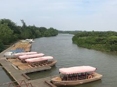 -东寨港红树林旅游区