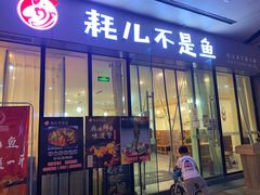 -耗儿不是鱼(海骏达城店)