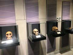 -北京周口店北京人遗址博物馆