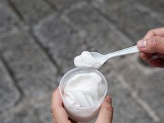 椰子雪糕-洪馨椰子