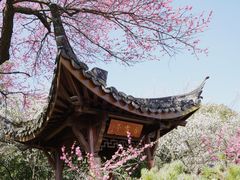 -杭州植物园