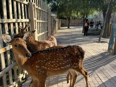 -水上乐园·欢乐世界