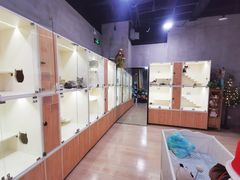 -十年猫舍·猫咪专门店(普陀店)