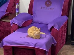 -久健盲人推拿(春江佳园店)