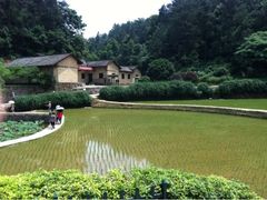 -韶山毛泽东同志故居