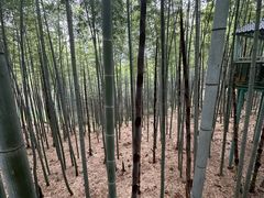 -陶祖圣境风景区