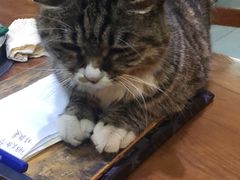 -延成苑韩式烤肉店(长春道店)