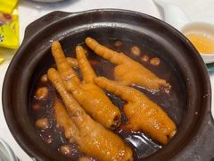 -千灯盛汇·头牌粤菜(致越优城店)