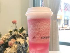 -森茶(湛江万达店)