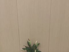 -团圆口腔·种植中心(锦江院区)