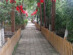 -草根堂农场