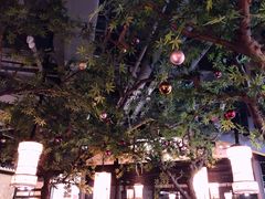 大堂-苏乡兰亭·新派淮扬菜(吾悦广场店)