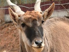-泉州海丝野生动物世界