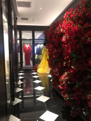 -鼎极摄影(世纪金源店)