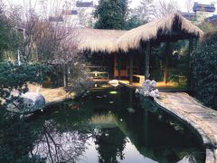 -秋香鱼馆(世凹桃园店)