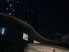 -东旭阳光国际大酒店