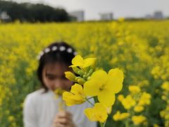 -光明小镇欢乐田园