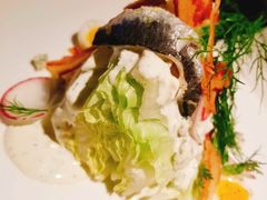 尼科斯鲔鱼色拉-壳里西餐厅Coquille Seafood Bistro(蒙自路店)